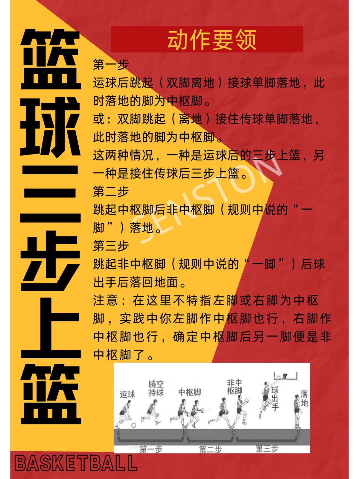 篮球训练基本动作图片视频讲解大全